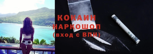 мдпв Богданович