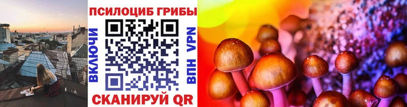 Псилоцибиновые грибы ЛСД  гидра как зайти  Макаров 